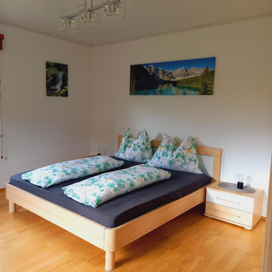 Appartement Winteraugut Werfen Extérieur photo