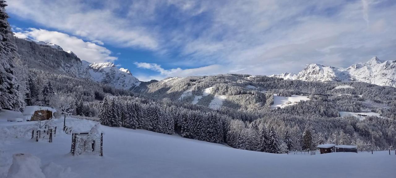Appartement Winteraugut Werfen Extérieur photo
